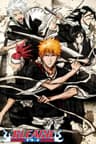 Bleach