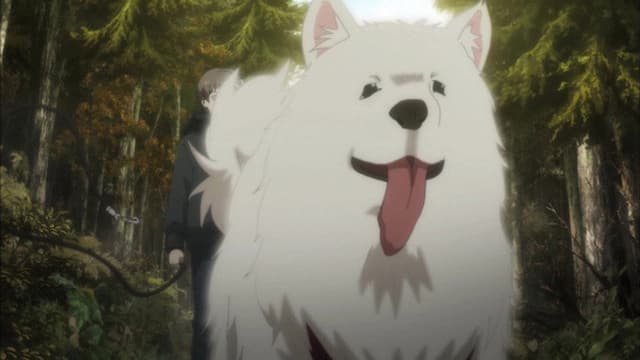 Beautiful Bones: Sakurako's Investigation 11. Bölüm