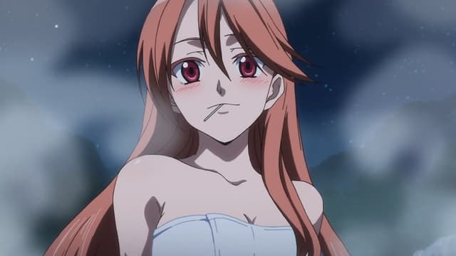 Akame ga Kill! 12. Bölüm