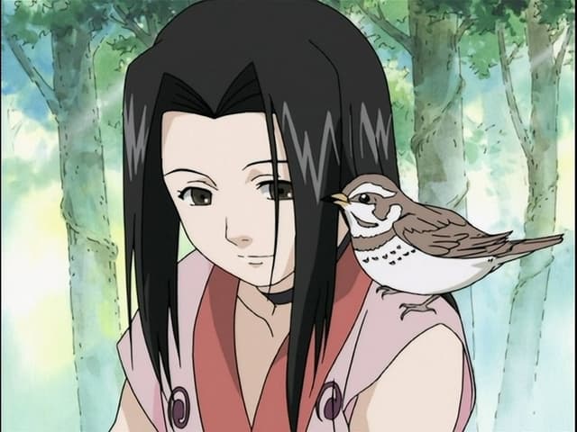 Naruto 14. Bölüm