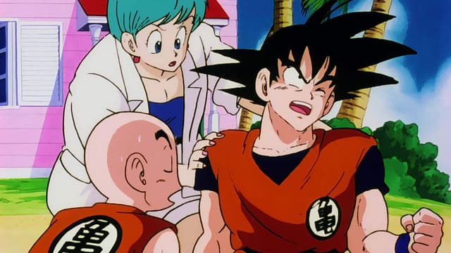 Dragon Ball Z 3. Bölüm