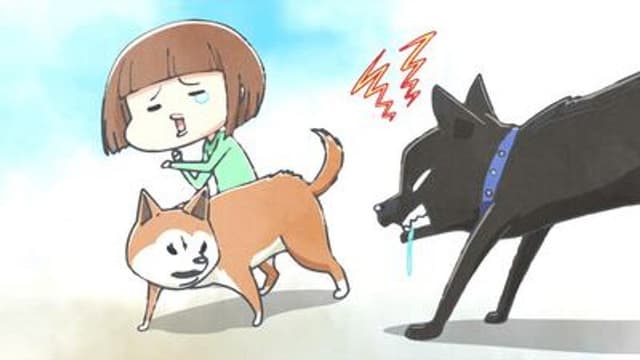 With a Dog AND a Cat, Every Day Is Fun 11. Bölüm