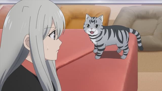 Too Cute Crisis 1. Bölüm