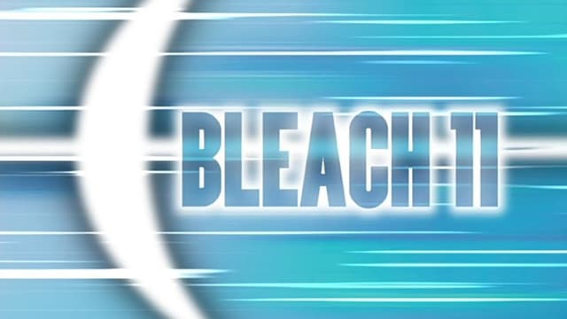 Bleach 15. Bölüm