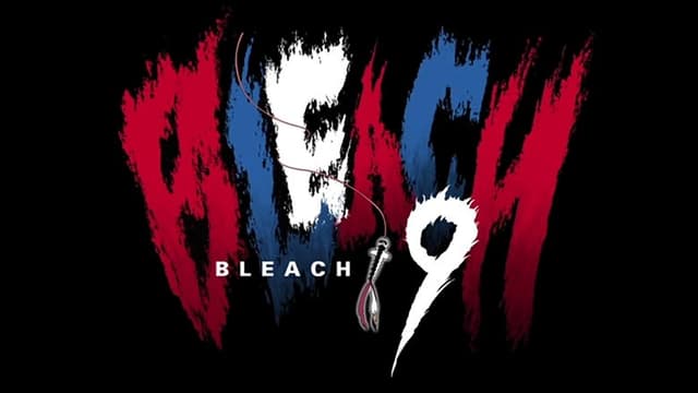 Bleach 13. Bölüm