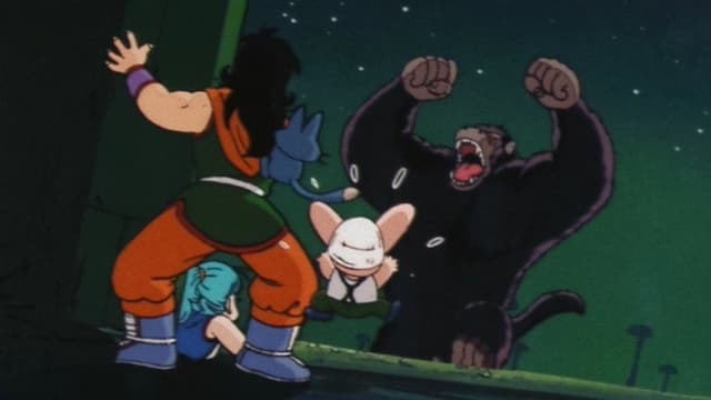 Dragon Ball 13. Bölüm