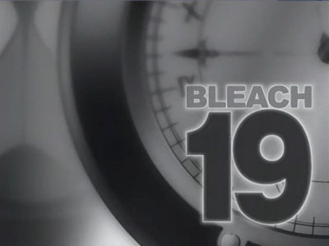 Bleach 23. Bölüm
