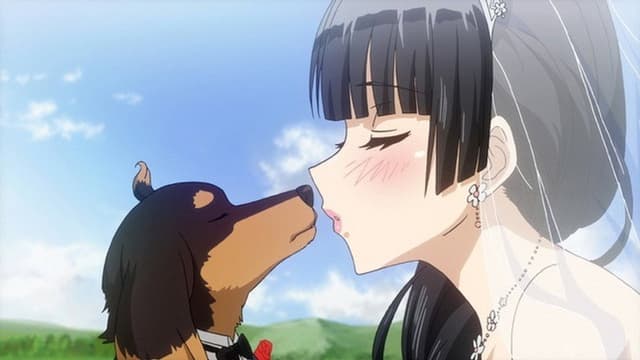Dog & Scissors 12. Bölüm