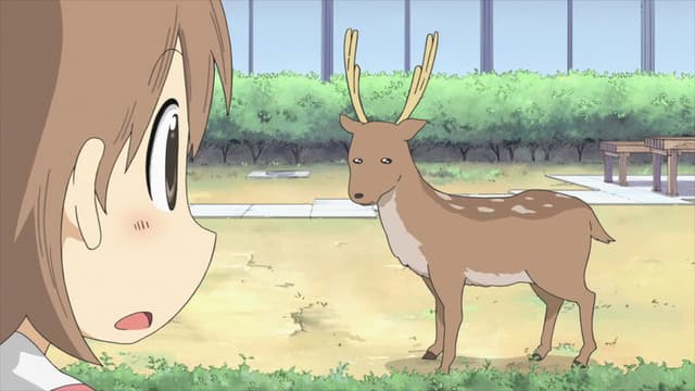 Nichijou: My Ordinary Life 6. Bölüm