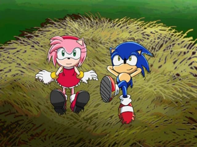 Sonic X 24. Bölüm