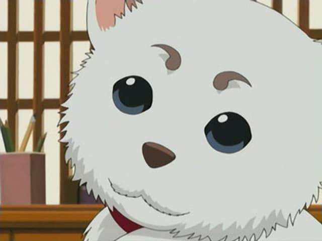 Gintama 21. Bölüm