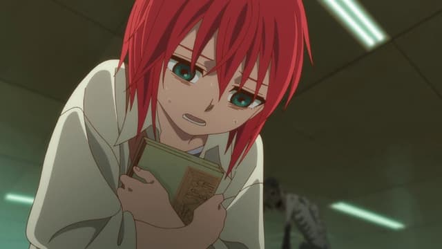 The Ancient Magus' Bride: Those Awaiting a Star 3. Bölüm