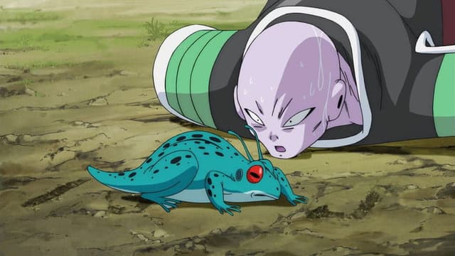 Dragon Ball Super 22. Bölüm