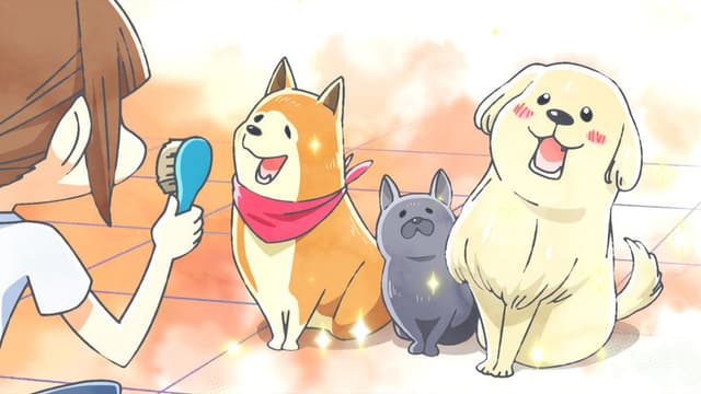 With a Dog AND a Cat, Every Day Is Fun 13. Bölüm