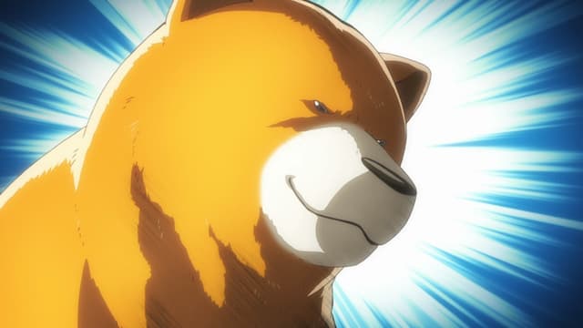 Girl Meets Bear 8. Bölüm