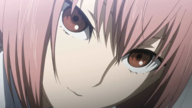 Steins;Gate 17. Bölüm