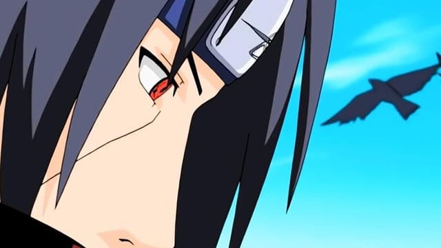 Naruto Shippūden 17. Bölüm