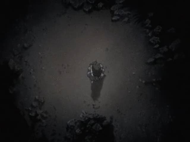MADLAX 14. Bölüm