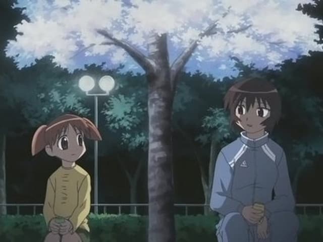 Azumanga Daioh 19. Bölüm