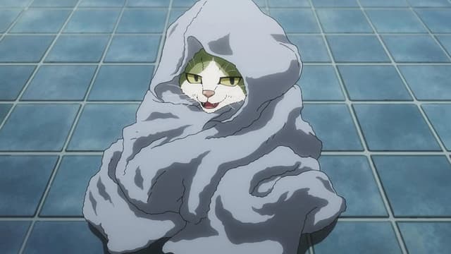 Nyaight of the Living Cat 9. Bölüm