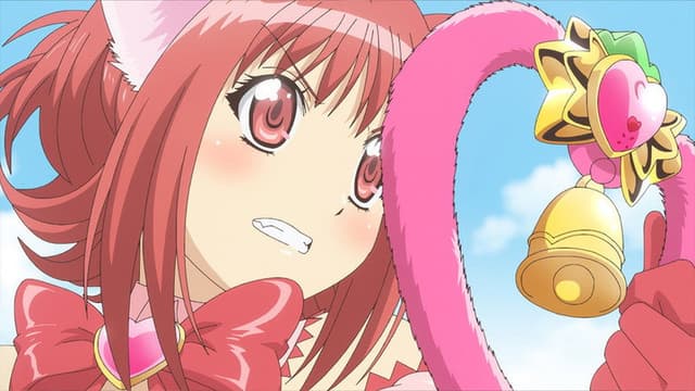 Tokyo Mew Mew New 1. Bölüm