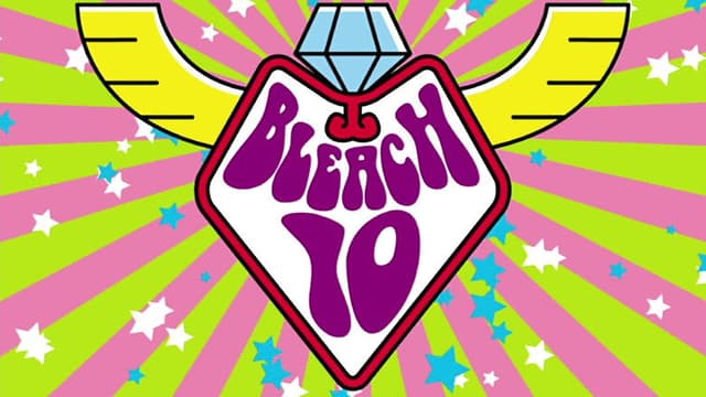 Bleach 14. Bölüm