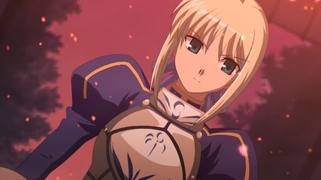 Fate/stay night 23. Bölüm
