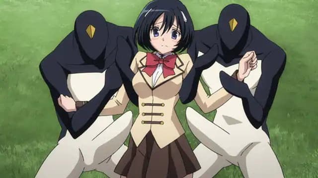 Daimidaler: Prince vs Penguin Empire 8. Bölüm
