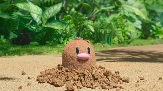 Pokémon Concierge 2. Bölüm