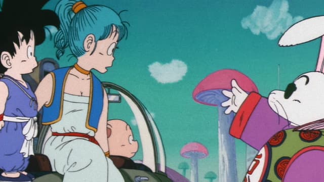 Dragon Ball 9. Bölüm