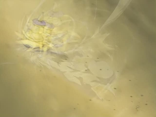 Beyblade 10. Bölüm