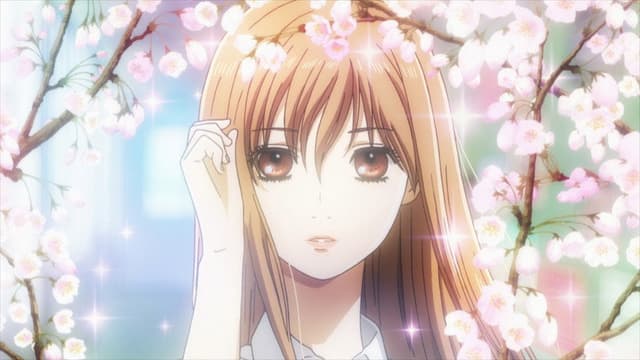 Chihayafuru 1. Bölüm