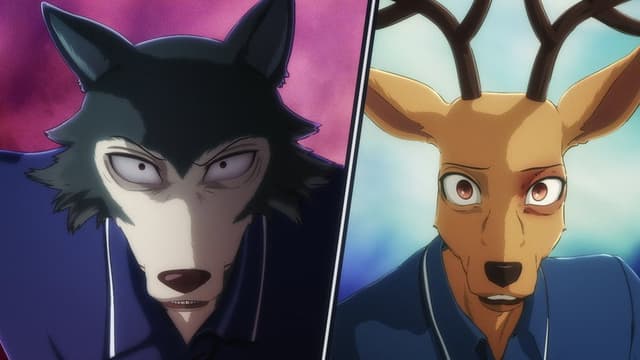 BEASTARS 9. Bölüm