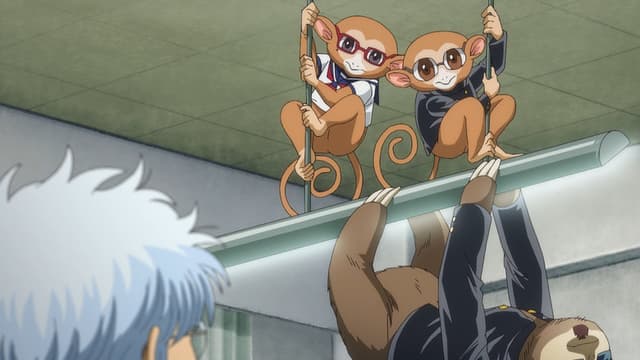 GINTAMA - Mr. Ginpachi's Zany Class 2. Bölüm