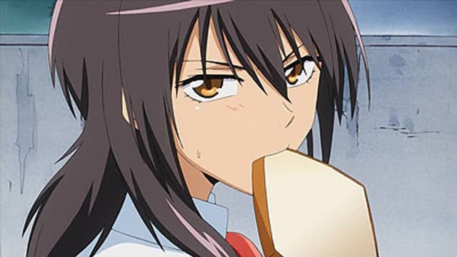 Maid Sama! 14. Bölüm