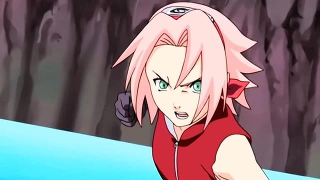 Naruto Shippūden 22. Bölüm