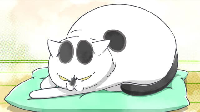With a Dog AND a Cat, Every Day Is Fun 24. Bölüm