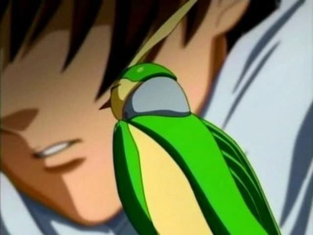 Mobile Suit Gundam SEED 19. Bölüm