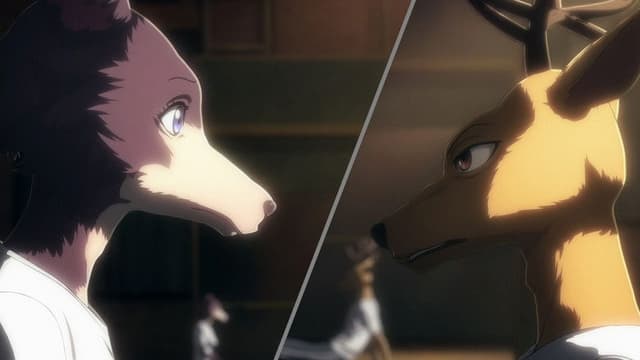 BEASTARS 8. Bölüm