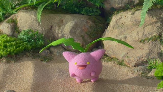 Pokémon Concierge 3. Bölüm
