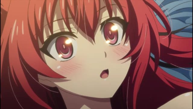 The Testament of Sister New Devil 12. Bölüm