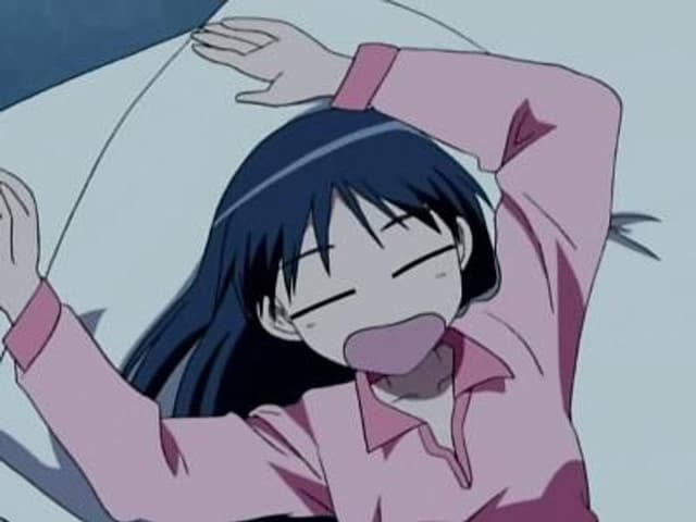 School Rumble 17. Bölüm