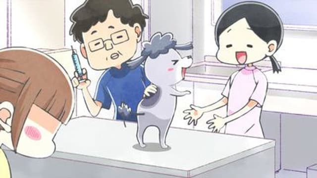 With a Dog AND a Cat, Every Day Is Fun 6. Bölüm