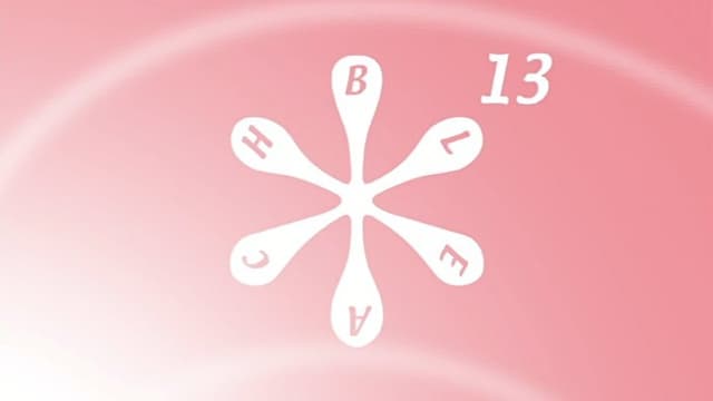 Bleach 17. Bölüm