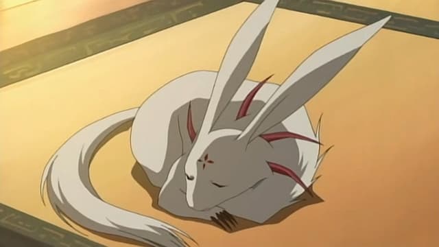 Shonen Onmyouji 19. Bölüm