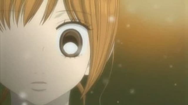 Bokura ga ita 24. Bölüm