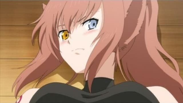 Dragon Crisis! 6. Bölüm