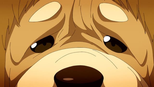 Monster Strike 12. Bölüm