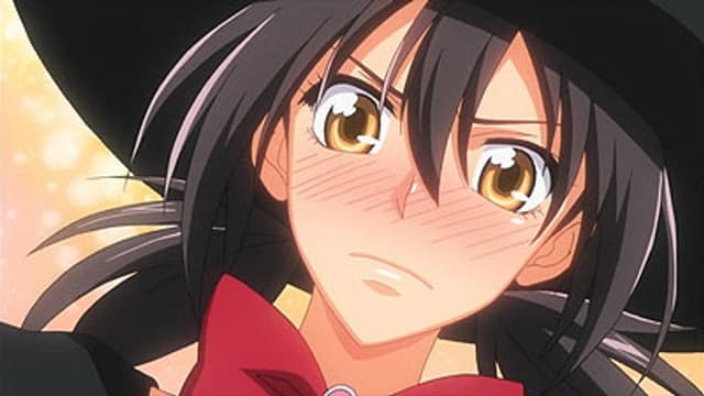 Maid Sama! 24. Bölüm
