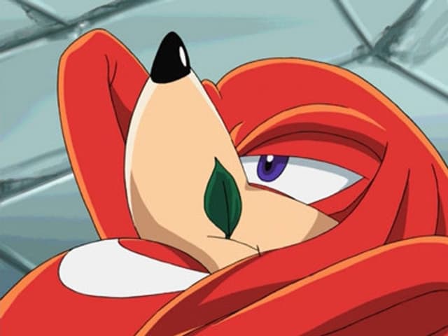 Sonic X 17. Bölüm
